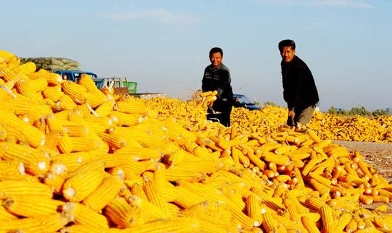 沈阳市民族丰肥业有限公司
